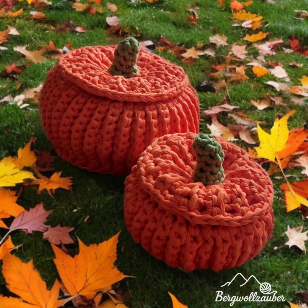 Set Kürbiszauber & Kürbiszauberchen 🍂